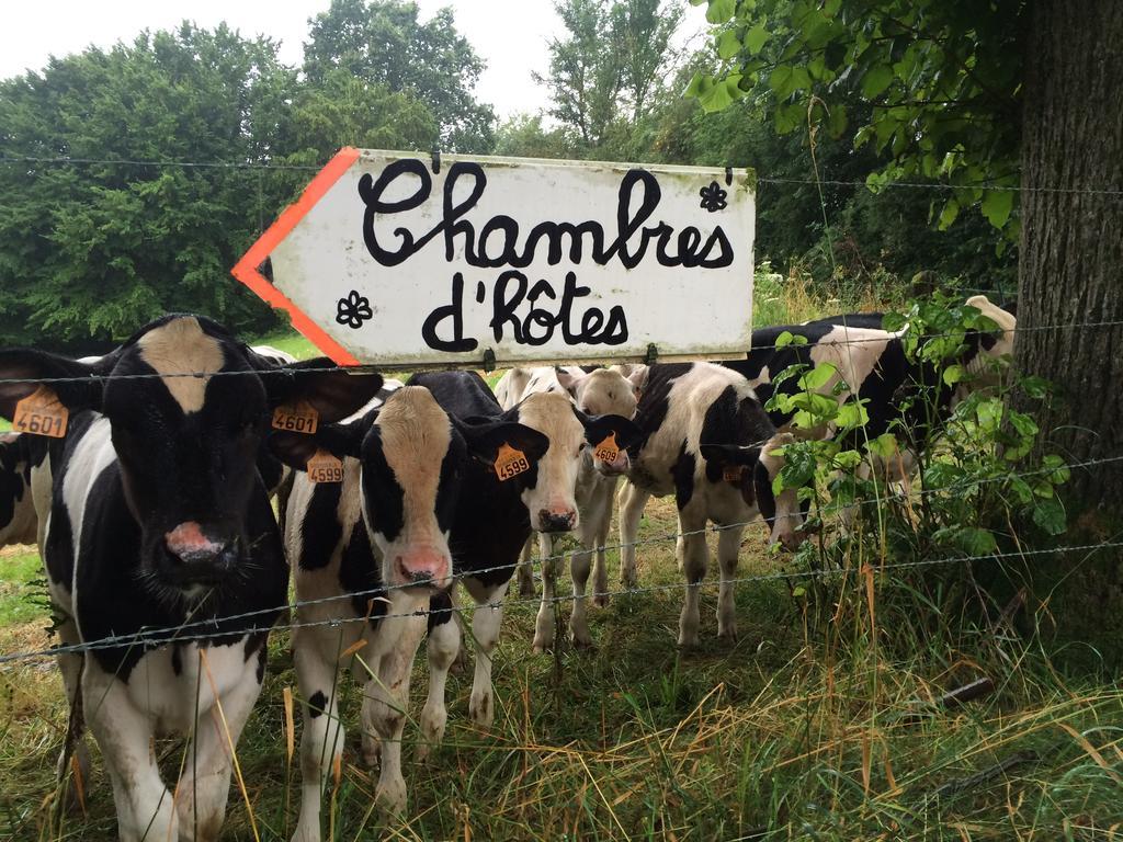 Les Chambres De Ribeaufontaine Dorengt Eksteriør bilde